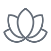 spa icon 3